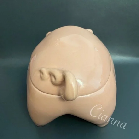 Rae Dunn Oink Pig Canister